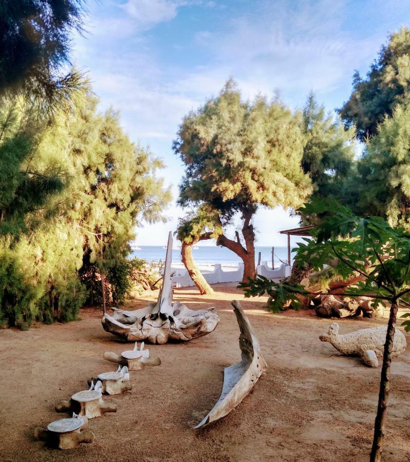 Punta Ballenas Mancora Lodge Kültér fotó